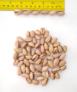 Alternative view of پسته احمد اقایی خام متوسط