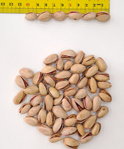 Alternative view of پسته احمد اقایی خام ریز